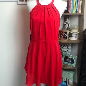 Express Red Skater Dress